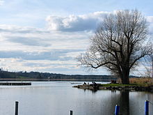 Lido Auslikon on Lake Pfäffikon