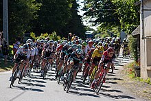 Tour 2018 peloton