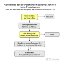 Recognition of circulatory arrest and implementation of basic measures