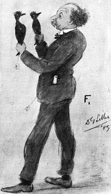Kresba pastelkami od D. G. Lillieho, 1909.  