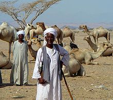 Bejanomaden aus Nordostafrika