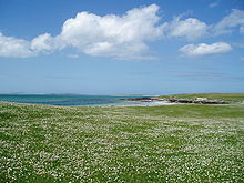 El machair de Berneray, Hébridas Exteriores  