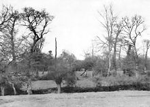 Bocage landscape