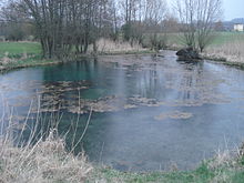Bavaria's most beautiful geotopes: Gypsum karst spring bottomless hole