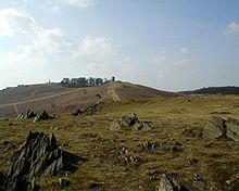 Velho John, Parque Bradgate