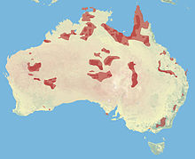 Wo Brumbies in Australien zu finden sind