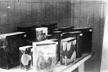 Buchenwald 16. dubna 1945. Sbírka vnitřních orgánů vězňů. Fotografie pořízená Julesem Rouardem, vojenským dobrovolníkem zařazeným do 1. americké armády, 16éme Bataillon de Fusiliers.