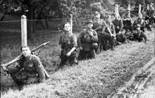 Němečtí pěšáci hledají na obloze spojenecká letadla v Normandii, 1944 &nbsp;