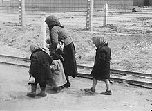 Znana fotografija madžarskih judovskih otrok in starejše ženske na poti v plinske komore Auschwitza II (1944).