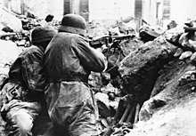 Fallschirmjäger gina Monte Kasino.