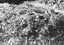 Očala ljudi, ki so bili ubiti v Auschwitzu