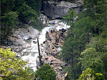 Takine in Three Parallel Rivers National Park, Yunnan Province, 2014.