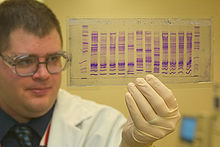 Ein Chemiker der U.S. Customs and Border Protection liest ein DNA-Profil, um herauszufinden, woher eine Ware stammt.