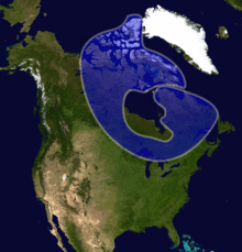 The Canadian Shield
