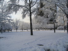 Un parc couvert de neige en hiver