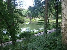 The Pond