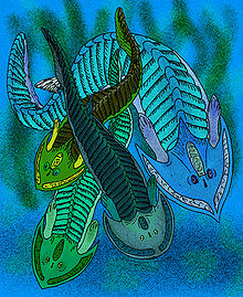 Cephalaspis whitei, C. lyelli, C. poweri a C. magnificans  