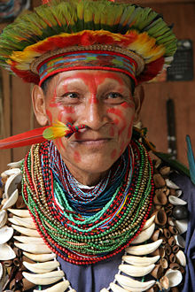 "Shaman" from Amazonia (2006) - however, the occurrence of shamanism beyond Eurasia is controversial from a scientific point of view.