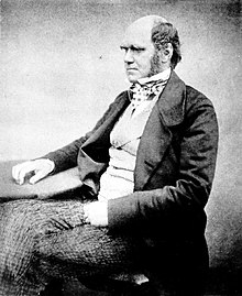 Medalia Darwin