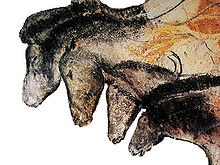 Tekeningen van paarden uit de Chauvet Grot