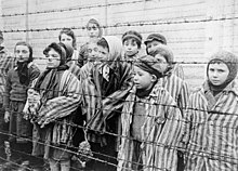 Judovska dvojčka, ki so ju hranili pri življenju, da bi ju uporabili v Mengelejevih medicinskih poskusih. Januarja 1945 ju je iz Auschwitza osvobodila Rdeča armada