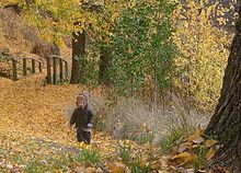 Bambino in Kyneton Gardens