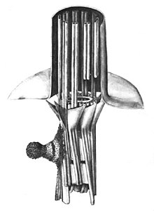 Representation of the basal apparatus of a cilium with the kinetosome