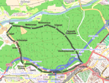 Circuit in the Bremgarten forest