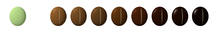 Different roasting levels - from unroasted to Italian roast