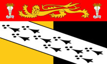 Norfolks flagga