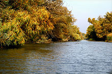 In the Danube Delta, 2008