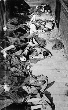 Death Train from Buchenwald (April 29, 1945)