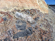 Tertiær breccia ved Resting Springs Pass, Mojave-ørkenen, Californien.  