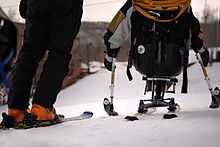 En sit-ski