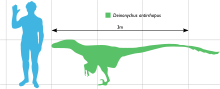 Deinonychus