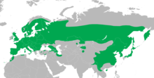 Distribution of the spotted woodpecker