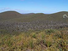 Vřesovištní krajina v pohoří Stirling Range v Západní Austrálii s údolím zamořeným diebaky uprostřed země