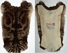 Washable rheumatism house cat fur