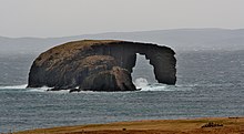 Dore Holm