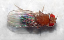 top view