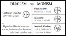 O diagramă care descrie patru poziții privind problema minte-corp.  