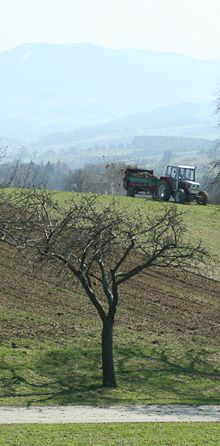 Fertilization with manure from the manure spreader