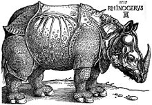 Dürers næsehorn, træsnit, 1515.  