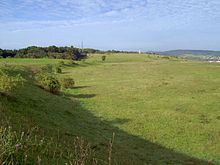 Trespen lawn at Wartenberg
