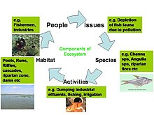 Un ejemplo de ecosistema