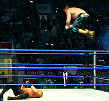 Wrestling, a posed fight (exhibition fight)