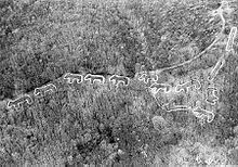 Artificial mounds in the shape of bears (Effigy Mounds National Monument, Iowa). A totemic connection is obvious.