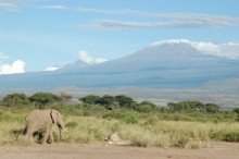 Kibo, the highest mountain in Africa