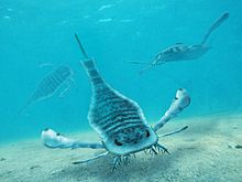 Eurypterid
