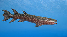 Tetrapod